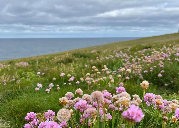 Loop Head Lighthouse Attendant's